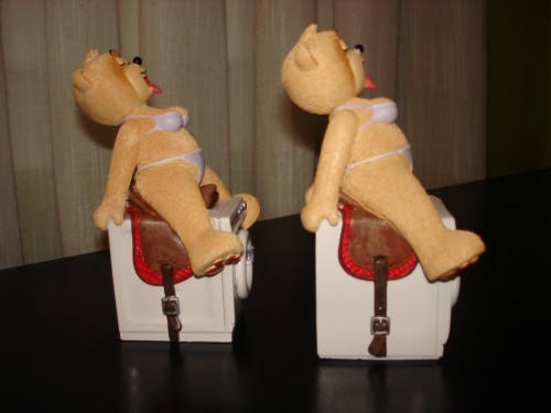 Bear photo