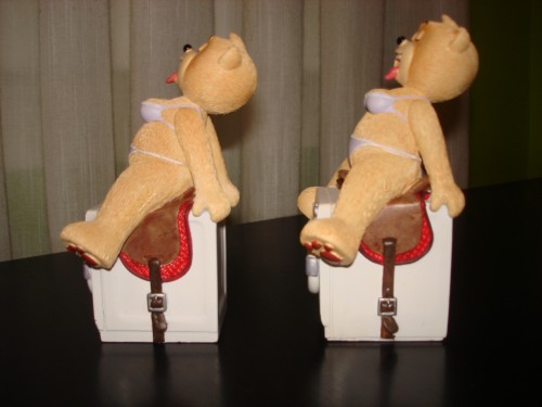 Bear photo
