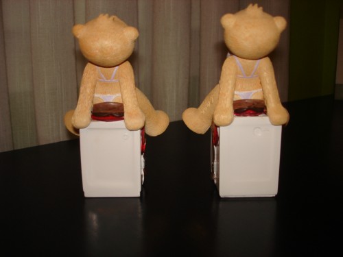 Bear photo