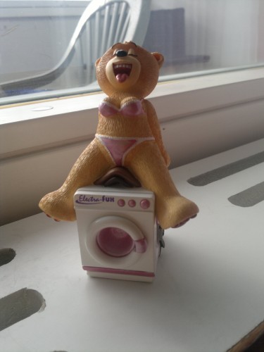 Bear photo