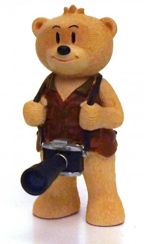 Bear photo