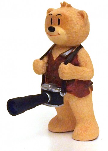Bear photo