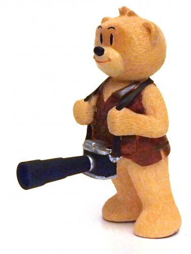 Bear photo