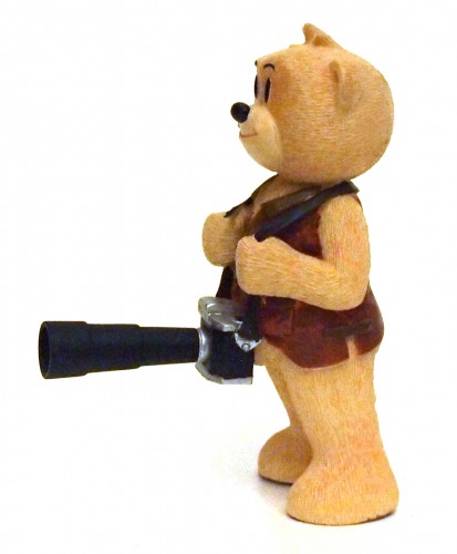 Bear photo