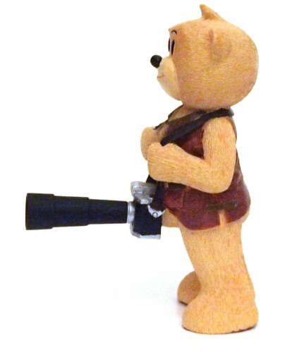 Bear photo