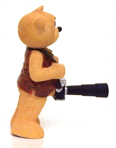 Bear photo