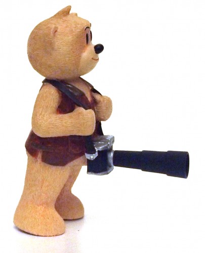 Bear photo