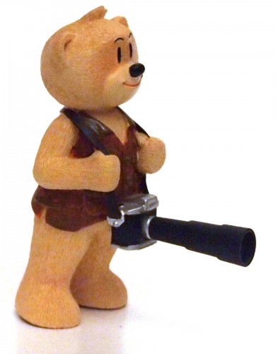 Bear photo