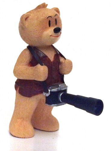 Bear photo
