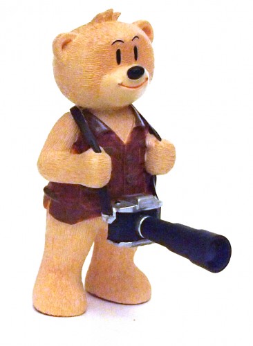 Bear photo