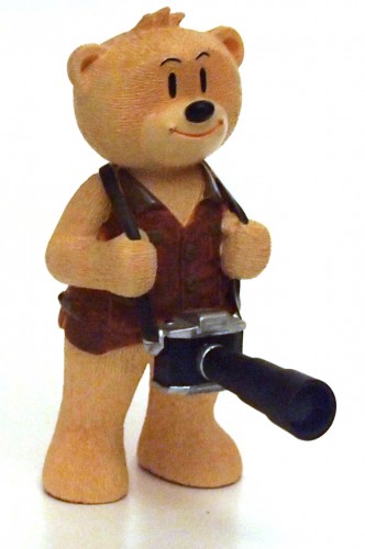 Bear photo