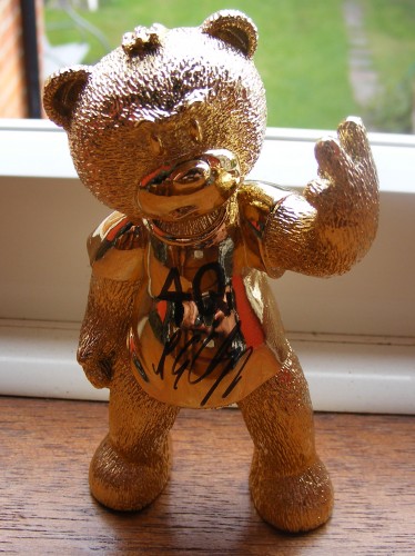 Bear photo
