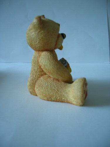 Bear photo