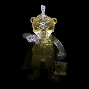 Bear photo