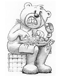 Bear photo