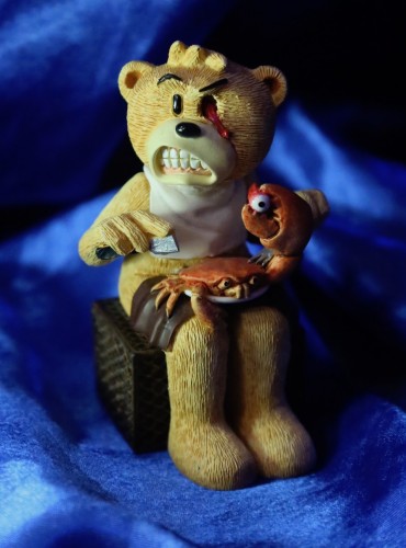 Bear photo