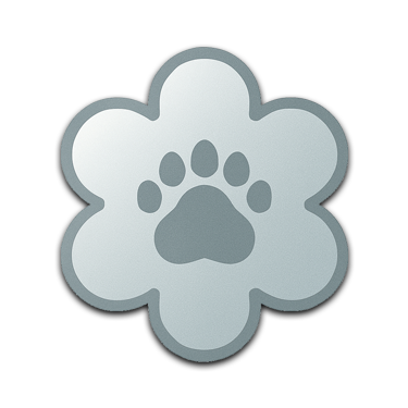 Popular Bear