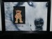 geordiegirl's Avatar